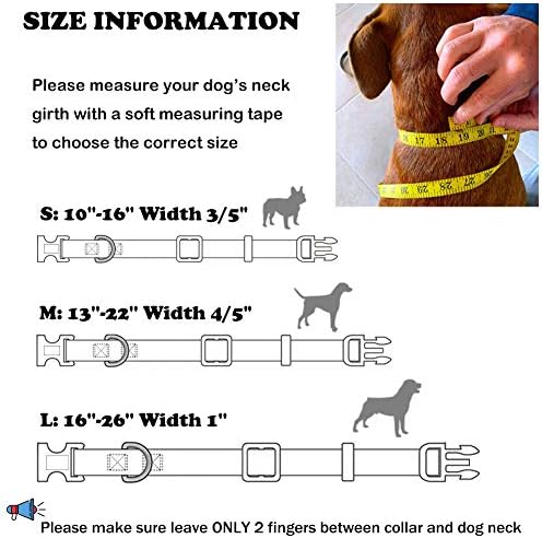Geometrik Desen Köpek Tasması, Küçük Orta Büyük Köpekler için Bohemia Kabile Baskısı, Emniyet Tokalı Güzel Erkek
