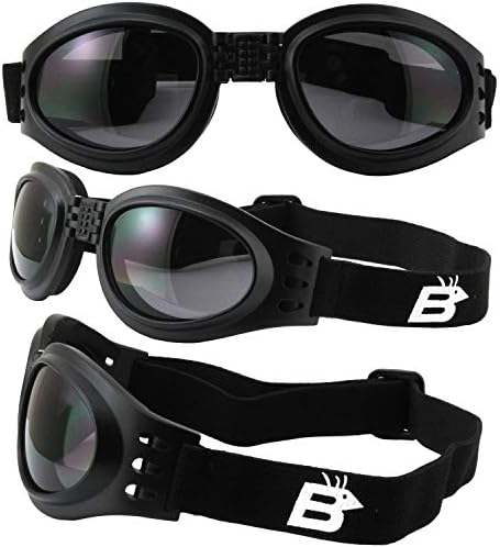 2 Çift Birdz Gözlük Papağan Siyah Katlanır Yastıklı motosiklet gözlüğü Temizle ve Duman Lensler Erkekler ve Kadınlar