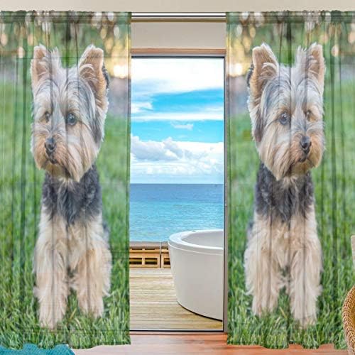 Üst Marangoz Yorkshire Terrier Köpek Çim Yarı Şeffaf Perdeler Pencere Vual Perdeler Panelleri Tedavi-55x78in Oturma